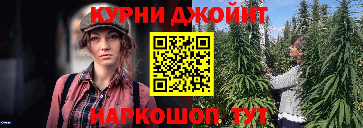 Конопля сатива  Вход с VPN  Конопля сатива  Шишки марихуана Bruce Banner  Саяногорск 